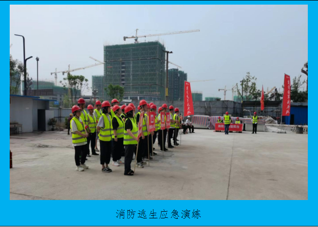 图片15.png